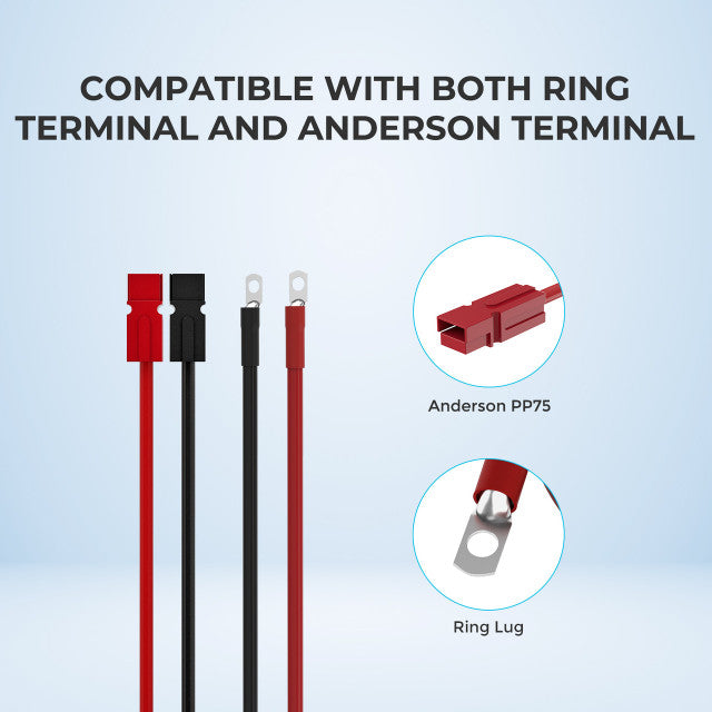 Shop Renogy 10FT 6AWG Anderson Adapter Cable（Anderson PP75 - 3/8 in Lugs） Online
