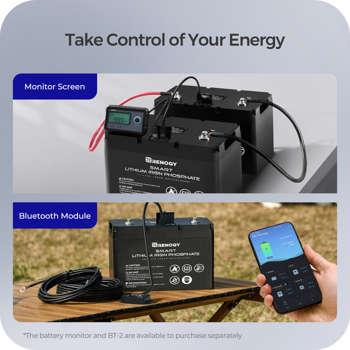 Buy Renogy 12V 100Ah Smart Lithium Iron Phosphate (LiFePO4) Battery (w/Monitoring Screen (Free Gift))