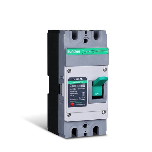 Buy Renogy 160A 2P DC Molded Case Circuit Breaker