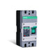 Buy Renogy 160A 2P DC Molded Case Circuit Breaker