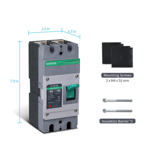 Purchase Renogy 160A 2P DC Molded Case Circuit Breaker