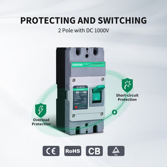 Shop Renogy 160A 2P DC Molded Case Circuit Breaker Online