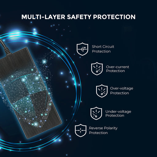 Purchase Renogy 12V 20A AC-to-DC LFP Portable Battery Charger