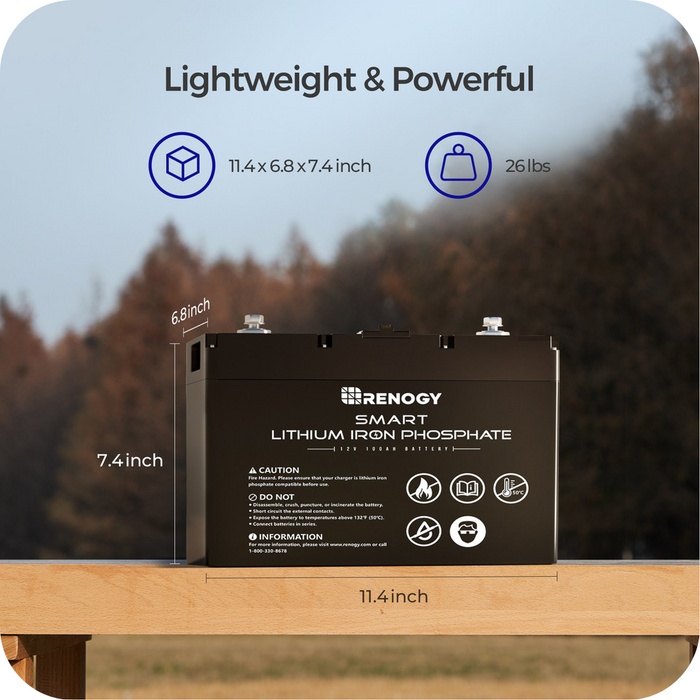 Buy Renogy 12V 100Ah Smart Lithium Iron Phosphate (LiFePO4) Battery (w/Renogy ONE Core & BT2)
