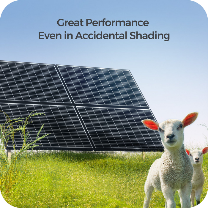 Renogy 4pcs 320 Watt Rigid Monocrystalline Solar Panel With Discount