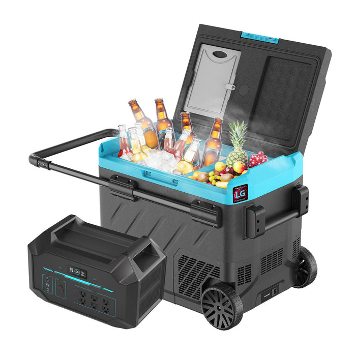 Buy Renogy 1000Wh / 2100W LiFePO4 Portable Power Station / Solar Generator Bundle (Portable Power Station + 2*E.FLEX 220 Portable Solar Panel)