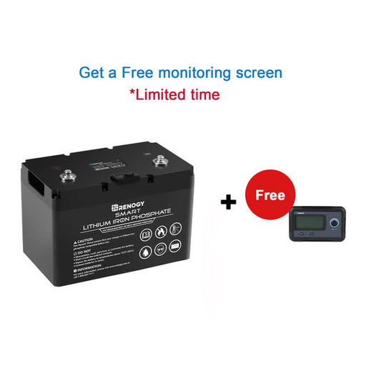 Buy Renogy 12V 100Ah Smart Lithium Iron Phosphate (LiFePO4) Battery w/ Self-Heating Function (1 Battery)