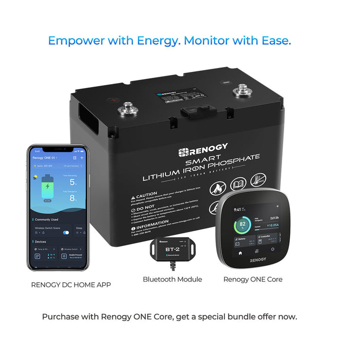 Renogy 12V 100Ah Smart Lithium Iron Phosphate (LiFePO4) Battery Details
