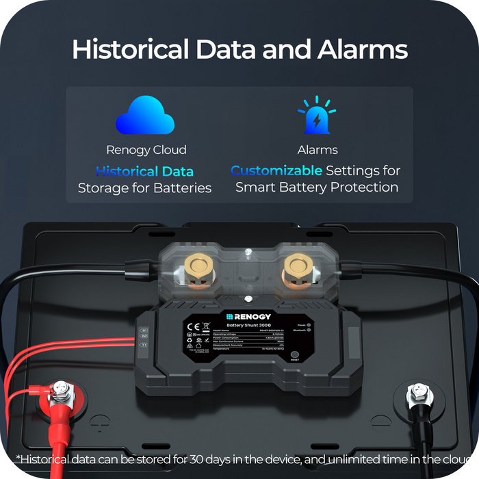 Renogy Battery Shunt 300 With Discount