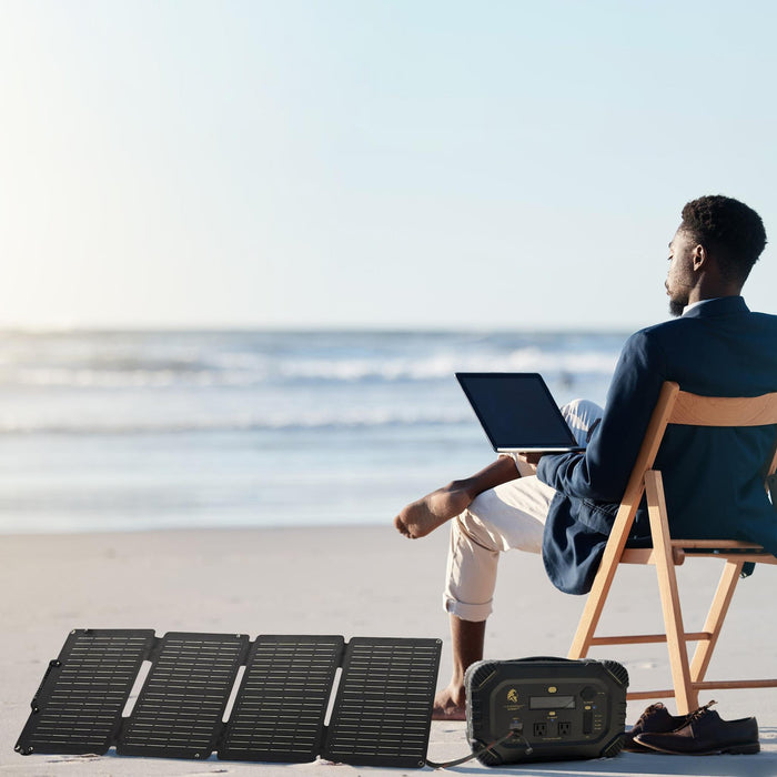 Shop Lion Energy 50W 12V Solar Panel | 50170172 Online