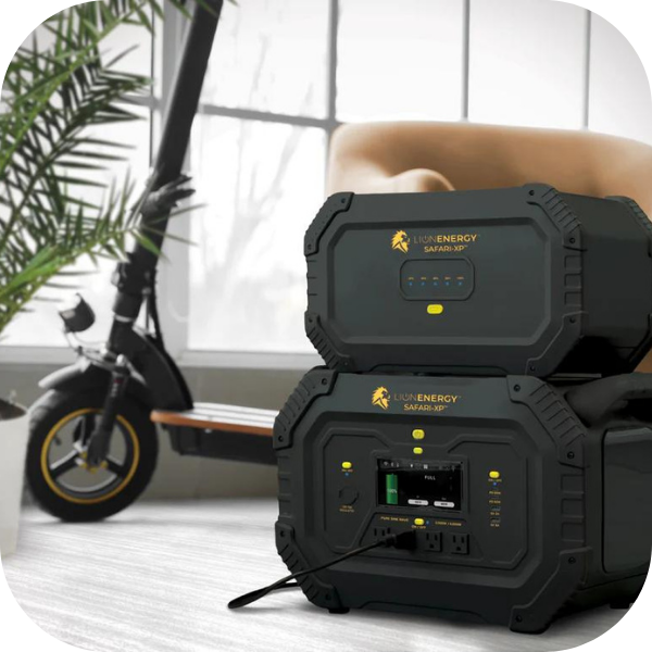 Shop Lion Energy Safari Expansion Pack (XP) | 50170147 Online